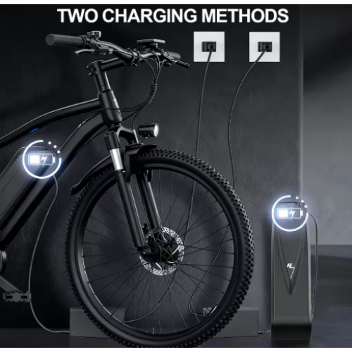 G73 Adult Electric 26-Inch Bicycle 1