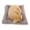 2Pièces Figurines Chien En Tissu Accessoires Pour 3