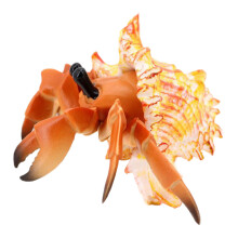 2Pièces Modèles Pagurian En Plastique Clair Décor Marine Enfant