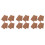 12Pcs Coffee Coconuts Fiber Reptile Mat for Bearded Dragon 6