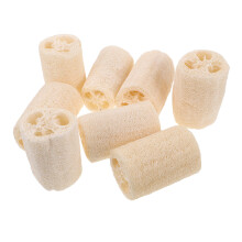 16Pcs Quick-Dry Natural Loofah Shower and Kitchen Sponges for Home Use