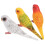 9Pièces Décorations Oiseaux Couleurs Vives Sculpture Jardin 1