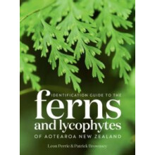 Identification Guide to the Ferns and Lycophytes of Aotearoa NZ by Pat