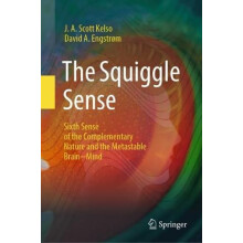 The Squiggle Sense by David A. Engstrm Hardcover Book
