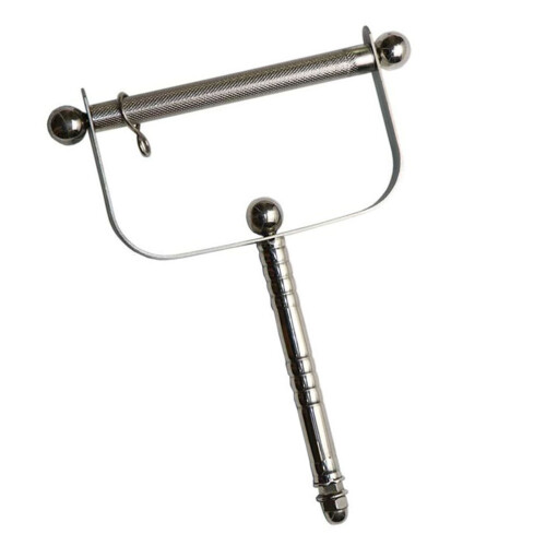 2Pièces Stand Perruche Acier Inoxydable D’exercice Argent