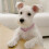3Pcs Rhinestone Dog Necklace Pink Adjustable Collar with Bone Charm 11
