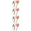 4Sets Window Screen Spline Roller Tool Kit Green Wooden Handle Durable 8