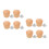 16Pcs Universal Wooden Pot Lid Knobs for Cooking Beige Handles 5