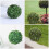 6Pcs Sturdy Plastic Flower Stand Support Frame for Garden Use 10