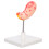 2Pcs High Precision Human Stomach Model PVC Material for Anatomy Study 2
