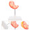 2Pcs High Precision Human Stomach Model PVC Material for Anatomy Study 11