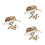 3Pcs Educational Bug Observation Set for Kids with Tweezers in ABS 9