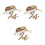3Pcs Educational Bug Observation Set for Kids with Tweezers in ABS 4