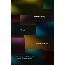 Contemporary African Screen Worlds Paperback Book