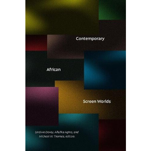 Contemporary African Screen Worlds Paperback Book