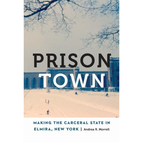 Prison Town by Andrea R. Morrell Paperback Book