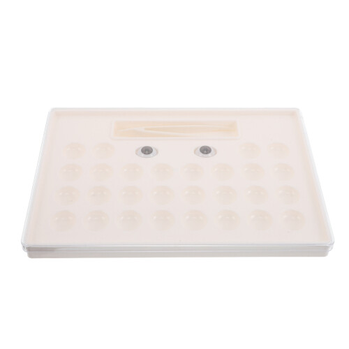 4Pcs Portable Beige Colored Lens Holder Case Plastic Storage Organizer 1