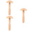 3Pièces Outil Wooden Patching Champignon Usage 8