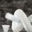 3Pièces Bouchons Silicone Blancs Étanches Pour Tuyaux Maison 6