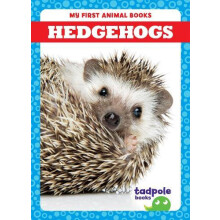 Hedgehogs by Marie Brandle Hardcover Book
