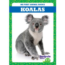 Koalas by Natalie Deniston Hardcover Book