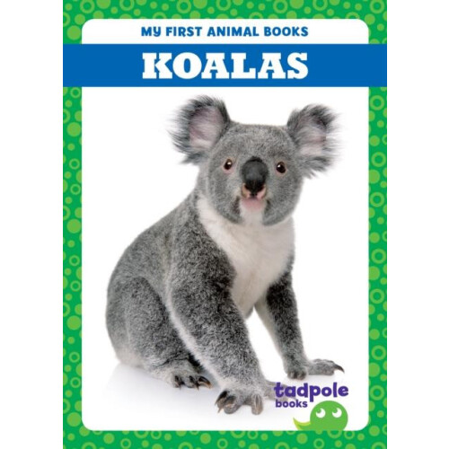 Koalas by Natalie Deniston Hardcover Book