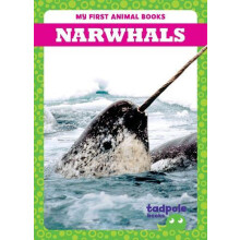 Narwhals by Genevieve Nilsen Hardcover Book