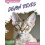 Devon Rexes by Abby Doty Hardcover Book 1