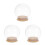 3Pièces Dome Verre Transparent Pour Vitrine Ornements 9