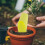 10Pièces Pelles Plastique Petites Pour Jardinage 5