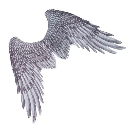 2Pièces Plumes Fer Élastic Cosplay Costume 1