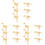 18Pièces Modèles Fossile ABS Beige Jouet D’assemblage Enfant 4
