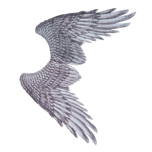 2Pièces Plumes Fer Élastic Cosplay Costume 2