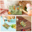 10Pièces Snacks Croquants Floraux Pour Chinchillas Hamsters 4