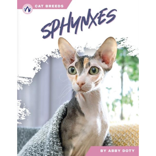 Sphynxes by Abby Doty Hardcover Book