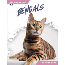 Bengals by Abby Doty Paperback Book