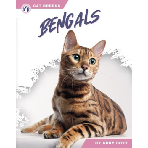 Bengals by Abby Doty Paperback Book