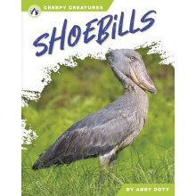 Shoebills by Abby Doty Hardcover Book