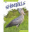 Shoebills by Abby Doty Hardcover Book 1