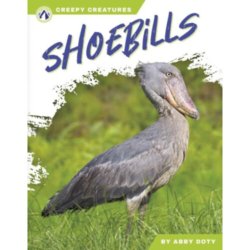 Shoebills by Abby Doty Hardcover Book