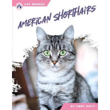 American Shorthairs by Abby Doty Paperback Book
