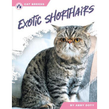 Exotic Shorthairs by Abby Doty Paperback Book