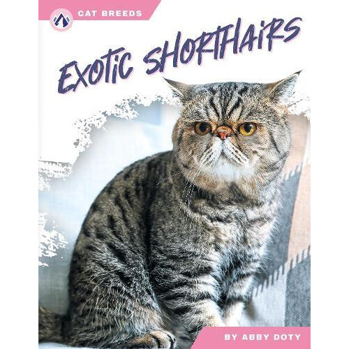 Exotic Shorthairs by Abby Doty Paperback Book