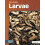 Larvae by Abby Doty Hardcover Book 1