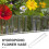 18Pièces Vases Hydroponiques Pièce Transparent Design Simple Élégant 8