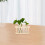 18Pièces Vases Hydroponiques Pièce Transparent Design Simple Élégant 7