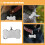 40Pièces Médailles Os Design Unique Acier Inoxydable Pour Chat 11