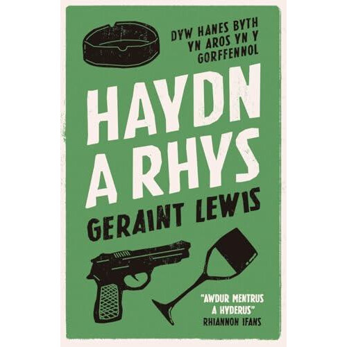 Haydn a Rhys by Geraint Lewis Paperback Book