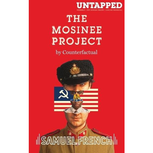 The Mosinee Project by Nikhil Vyas Paperback Book