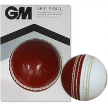 Gunn And Moore Skills Cricket Ball